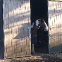 Brendon Manor Riding Stables logo