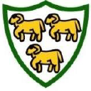 Burnmoor Cricket Club logo