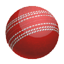 North Essex Cricket League logo