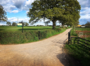 Hitts Barton Equestrian logo