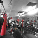 Surbiton Boxing Club logo