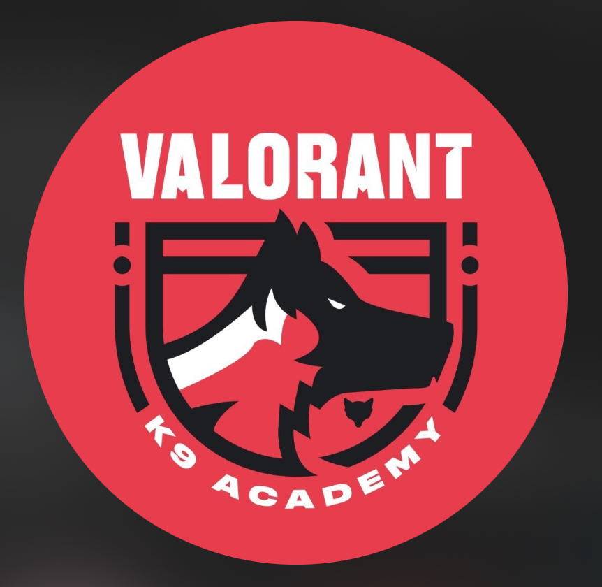 Valorant K9 Academy logo