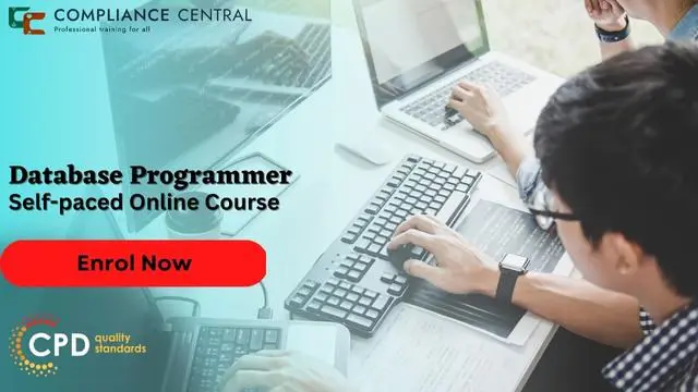 Database Programmer Training