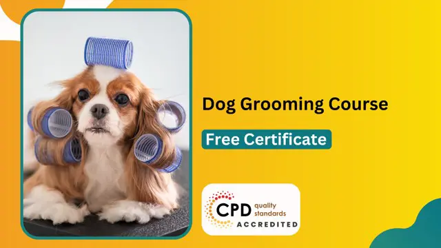 Accredited Dog  Grooming Course