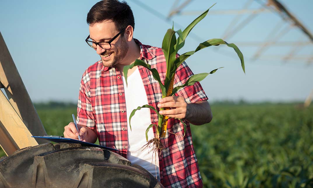 Diploma in Fertilization and Irrigation