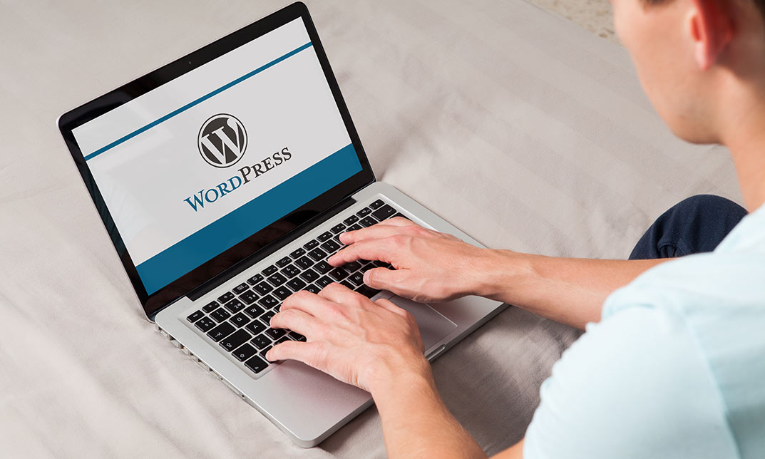 WordPress for Beginners