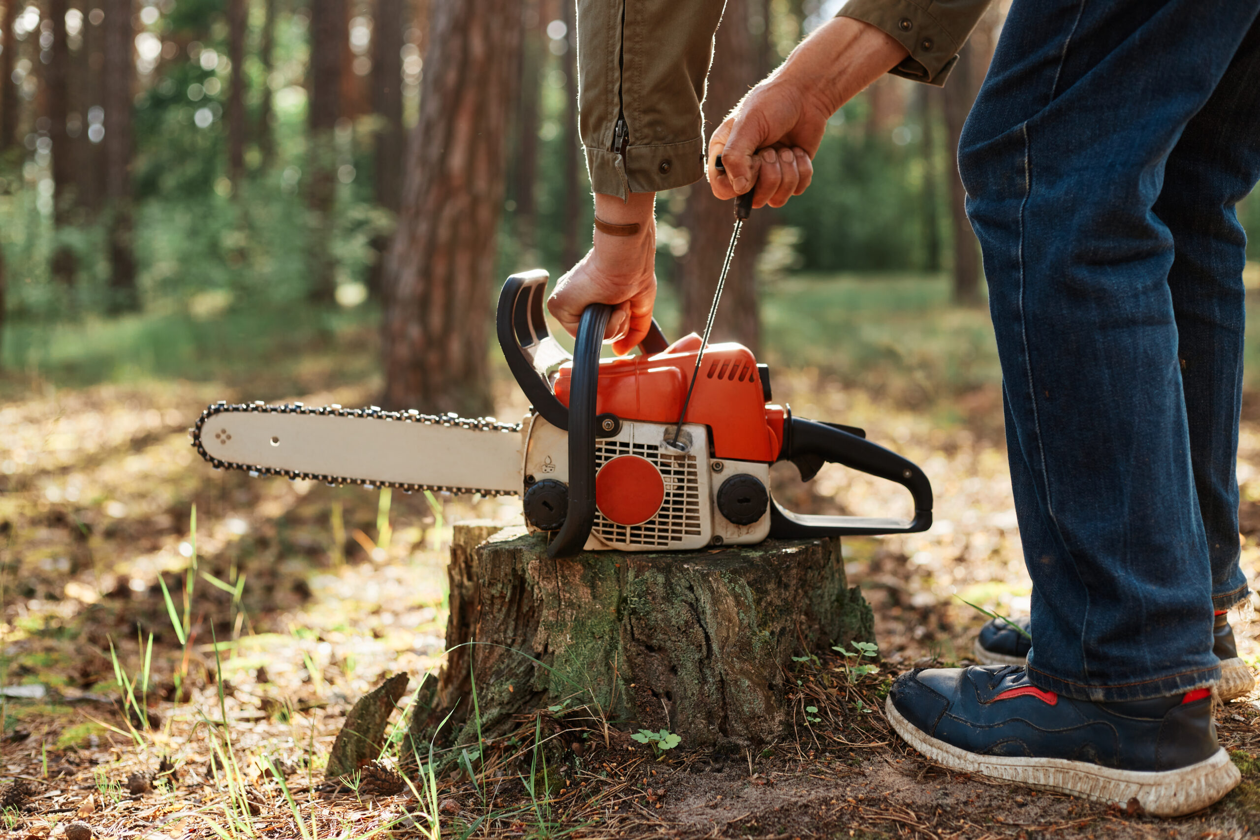 Chainsaw Safety Training