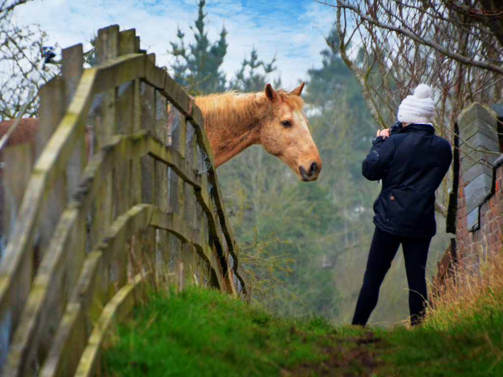 Beginners Photography Course