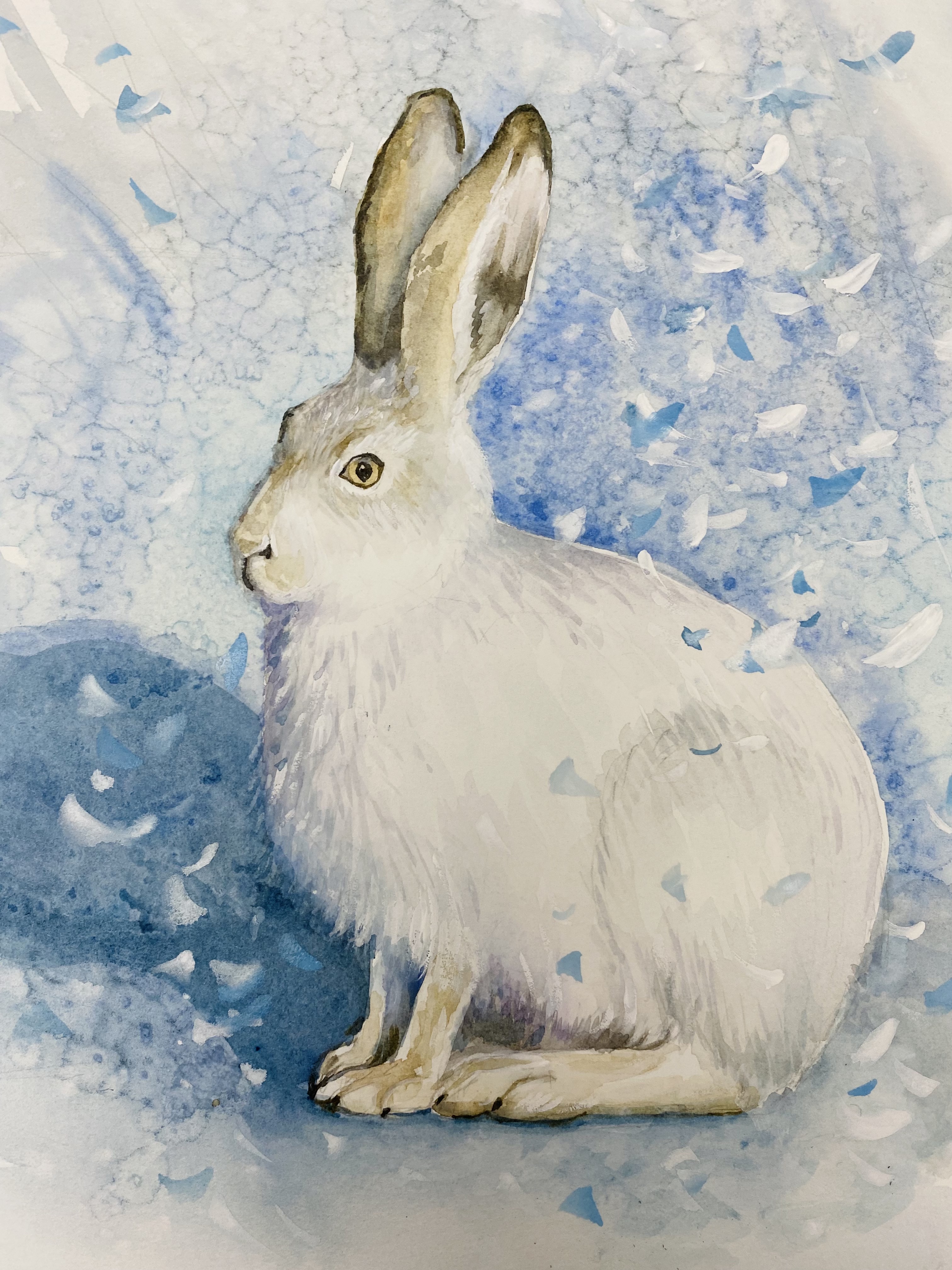 Snow Hare in Watercolour