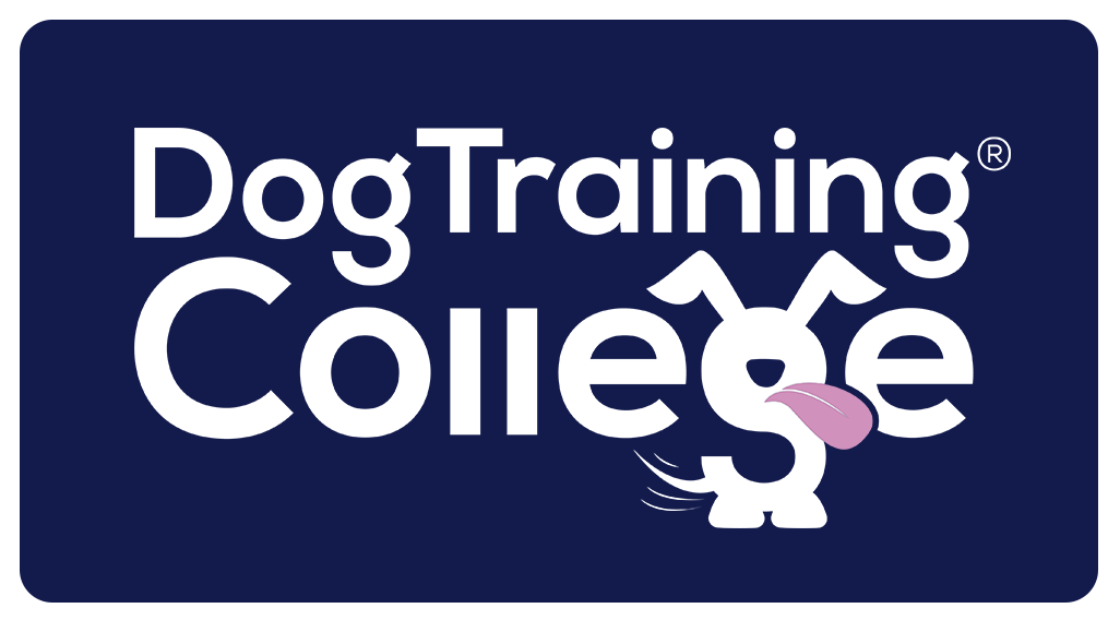 Dog Training College