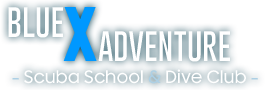 Blue X Adventure logo