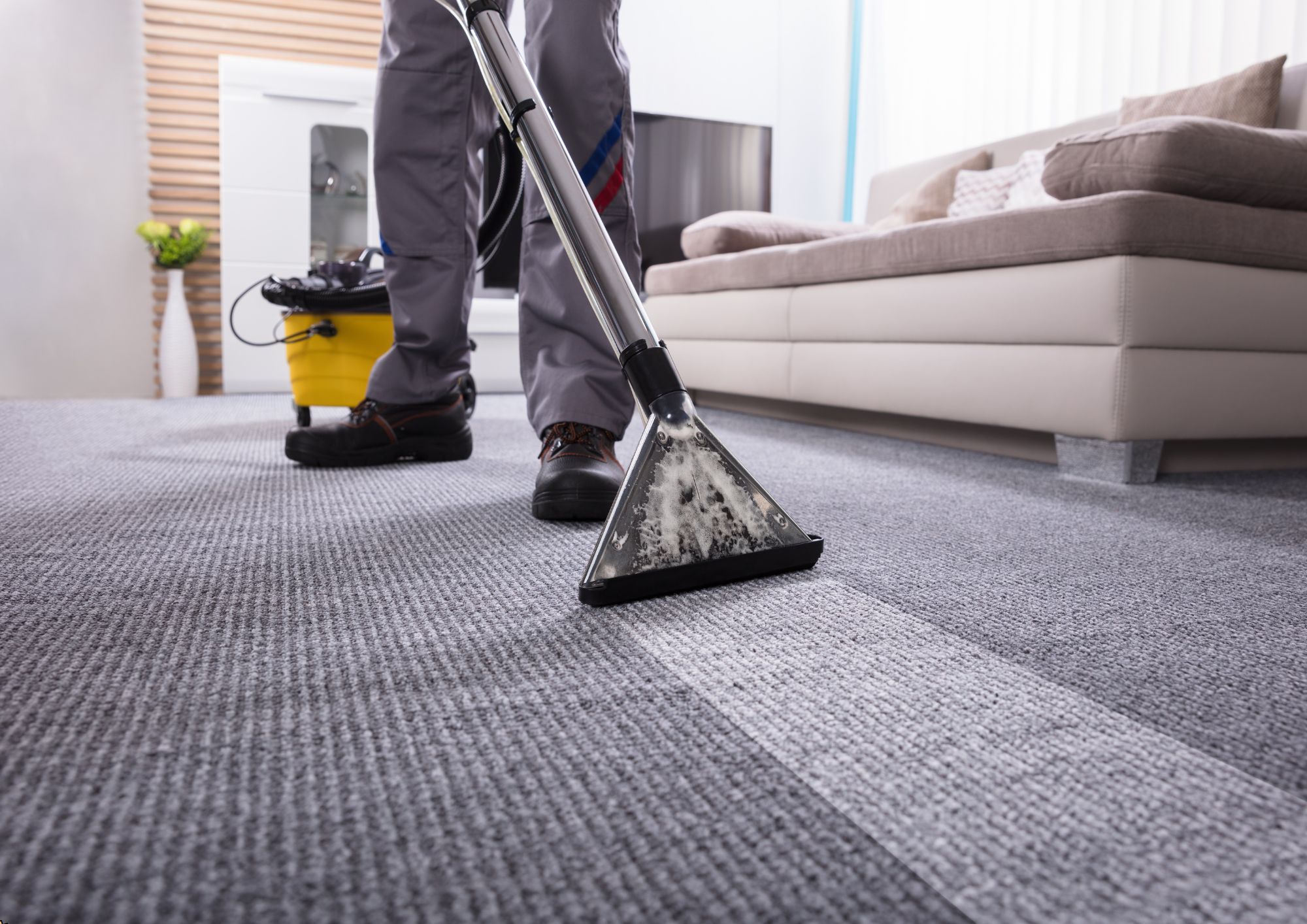 Carpet Cleaning