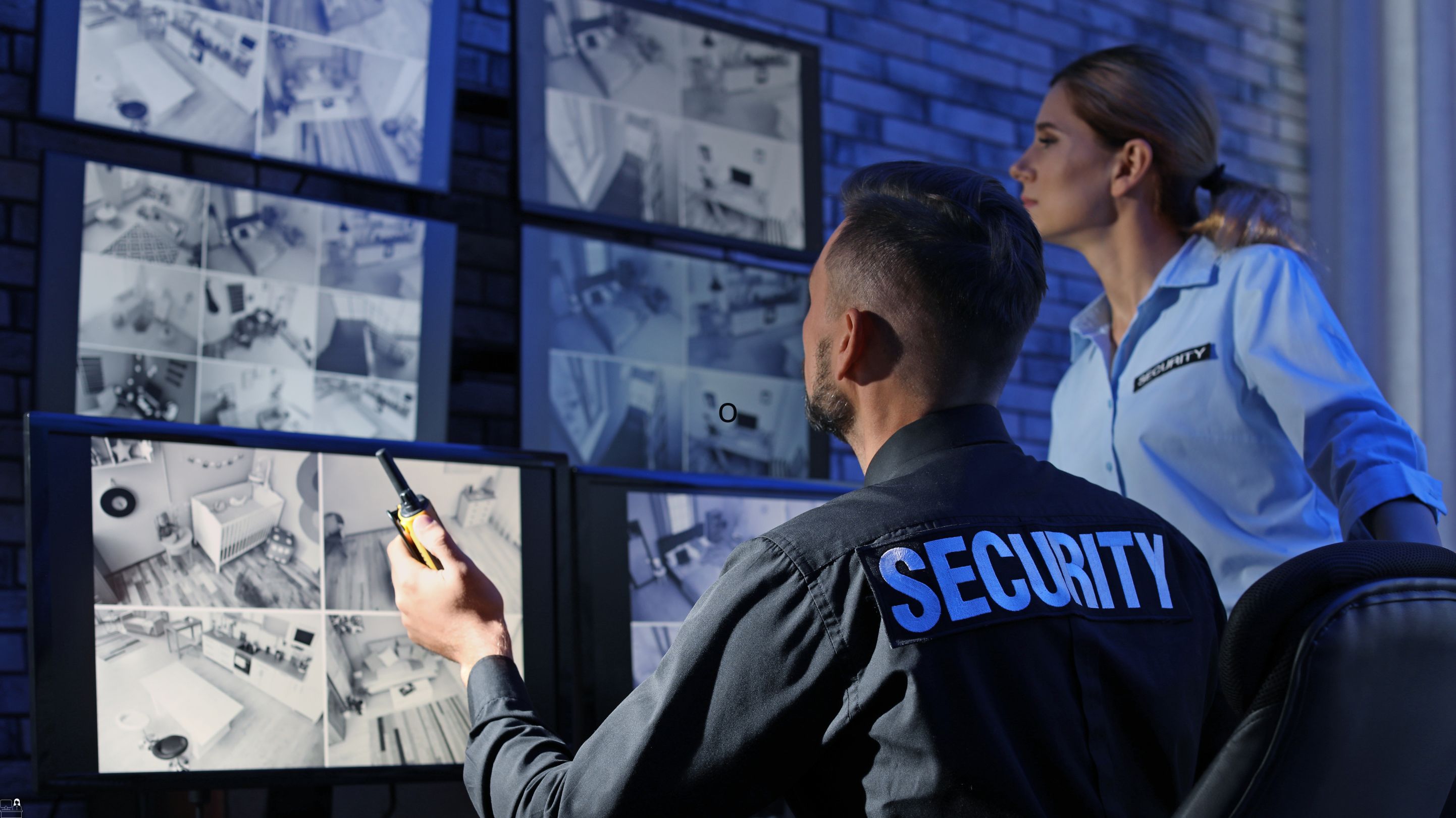 Security Guard Online Course