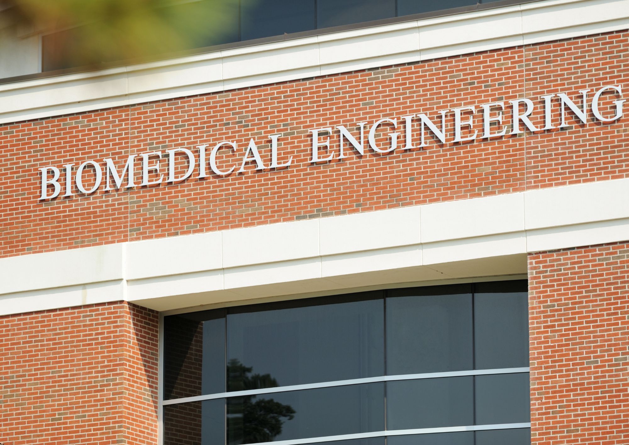 Biomedical Engineering