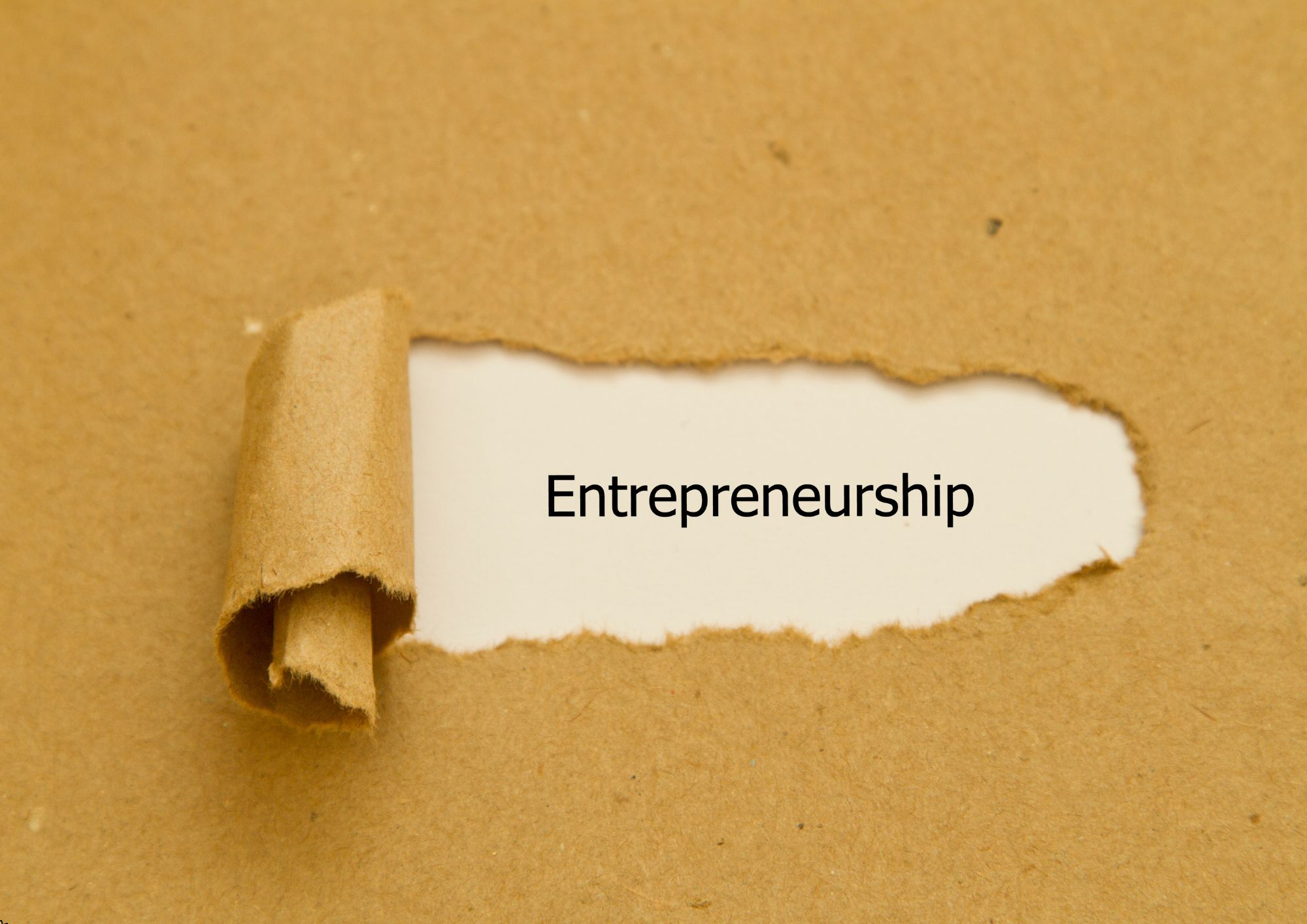 Gather Information from Summaries - Creative Entrepreneurship