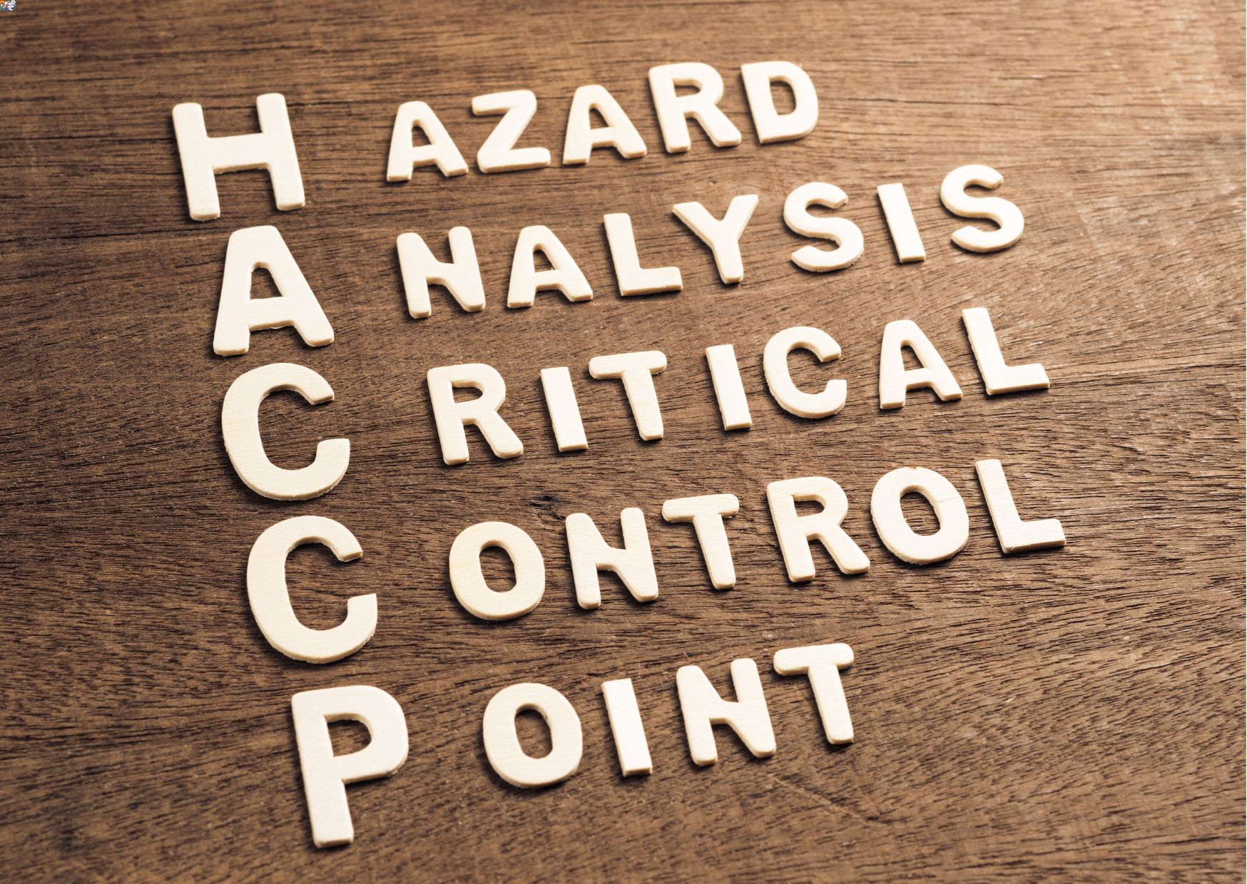 Level 3 HACCP Training