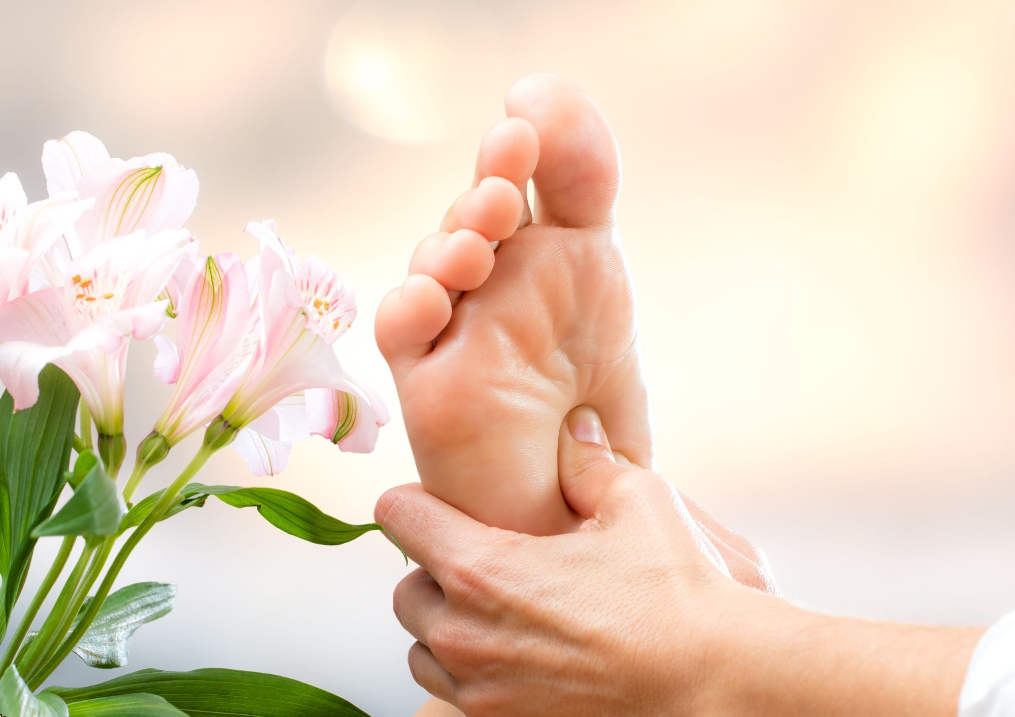 Comprehensive Reflexology Certification Program