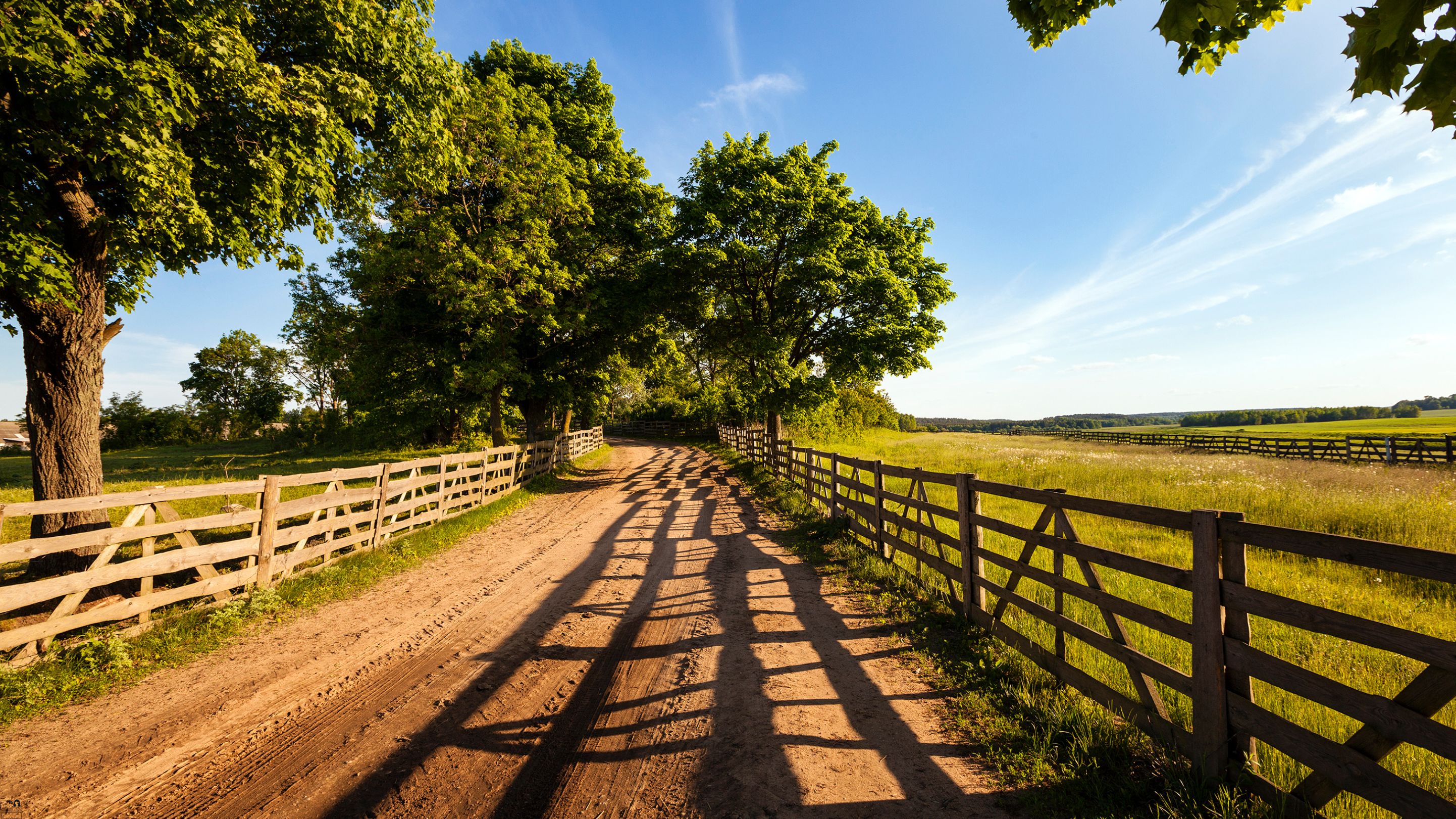 Rural Architecture Masterclass