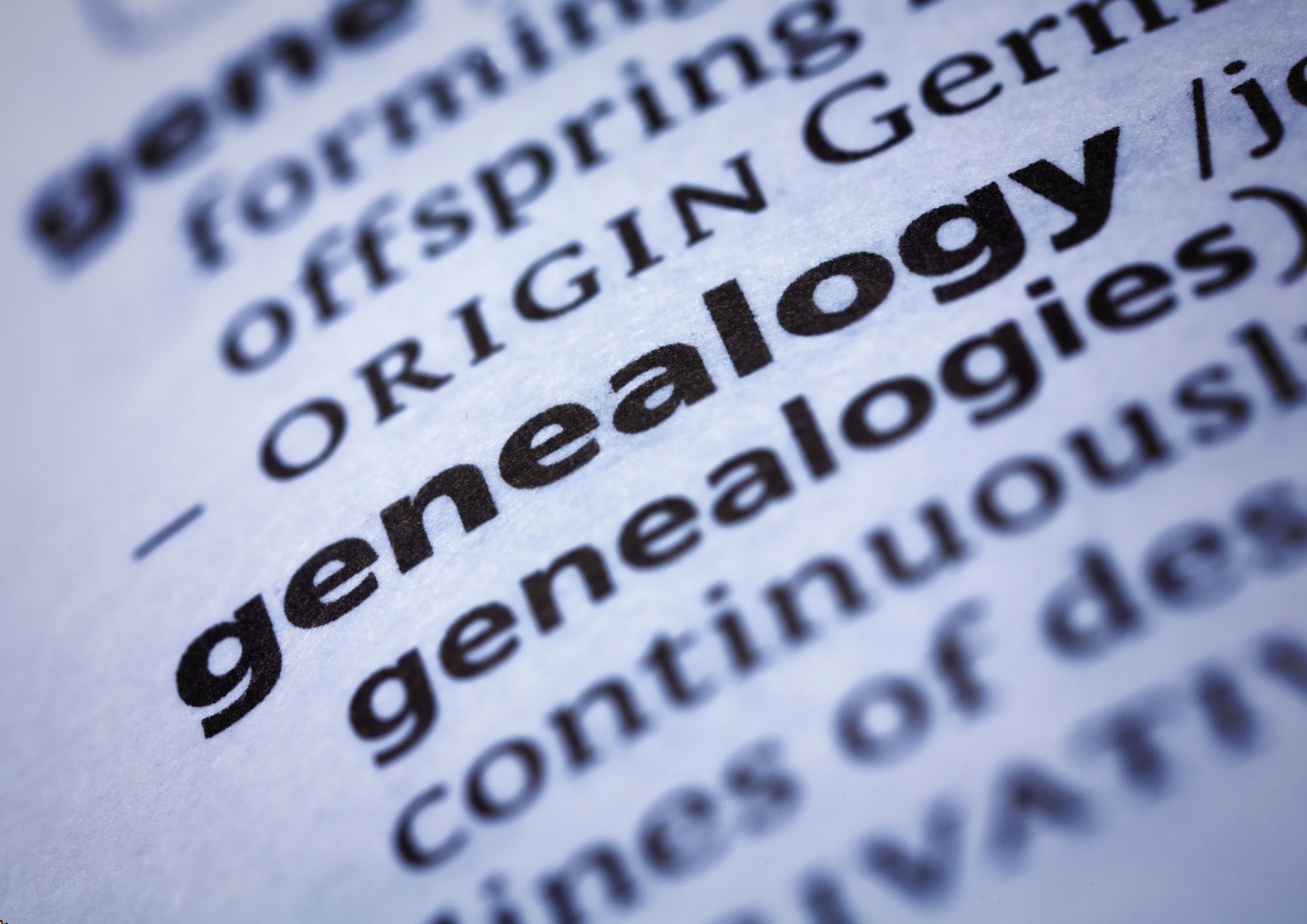 Diploma in Genealogy