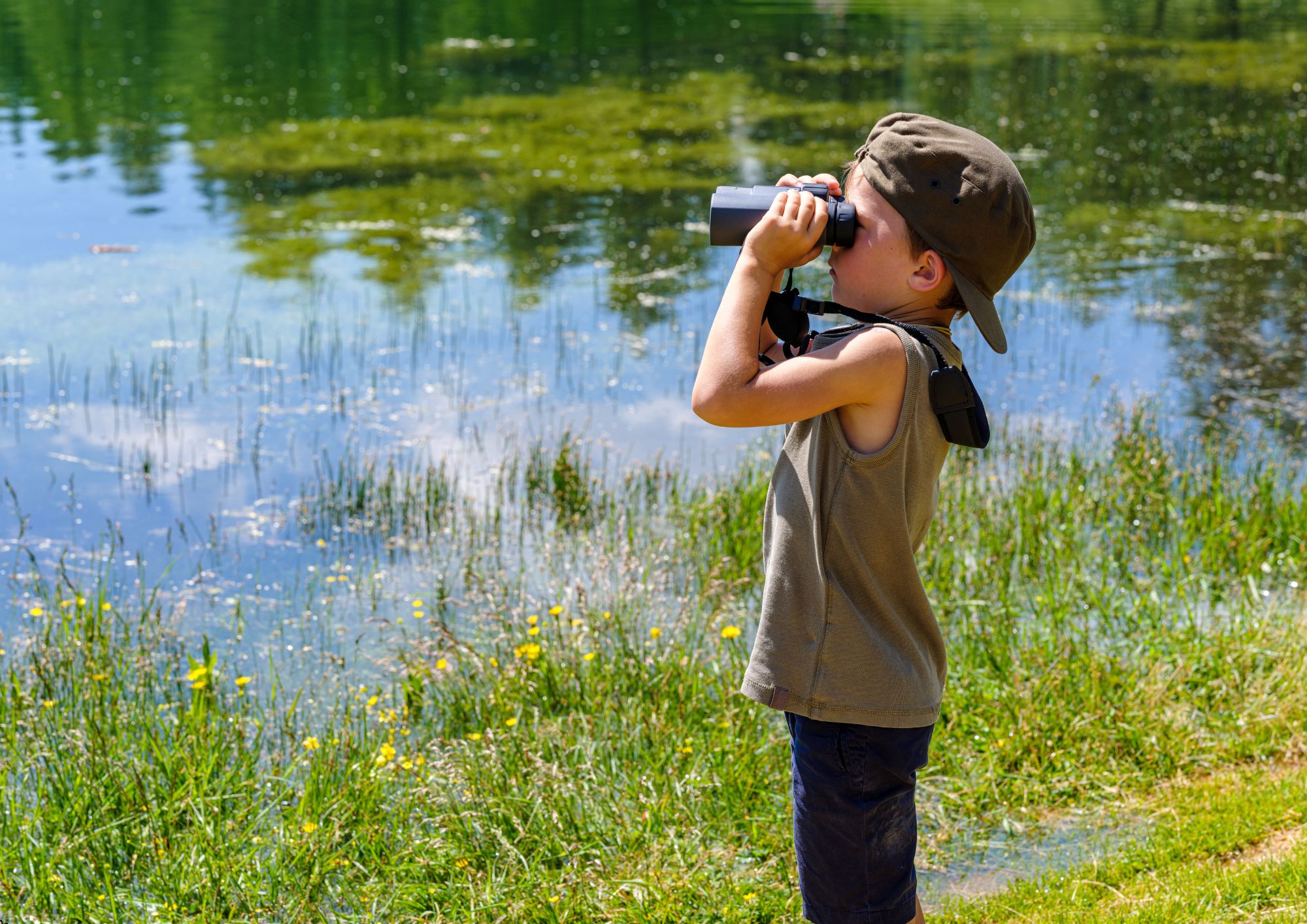 Bird Watching 101 Training