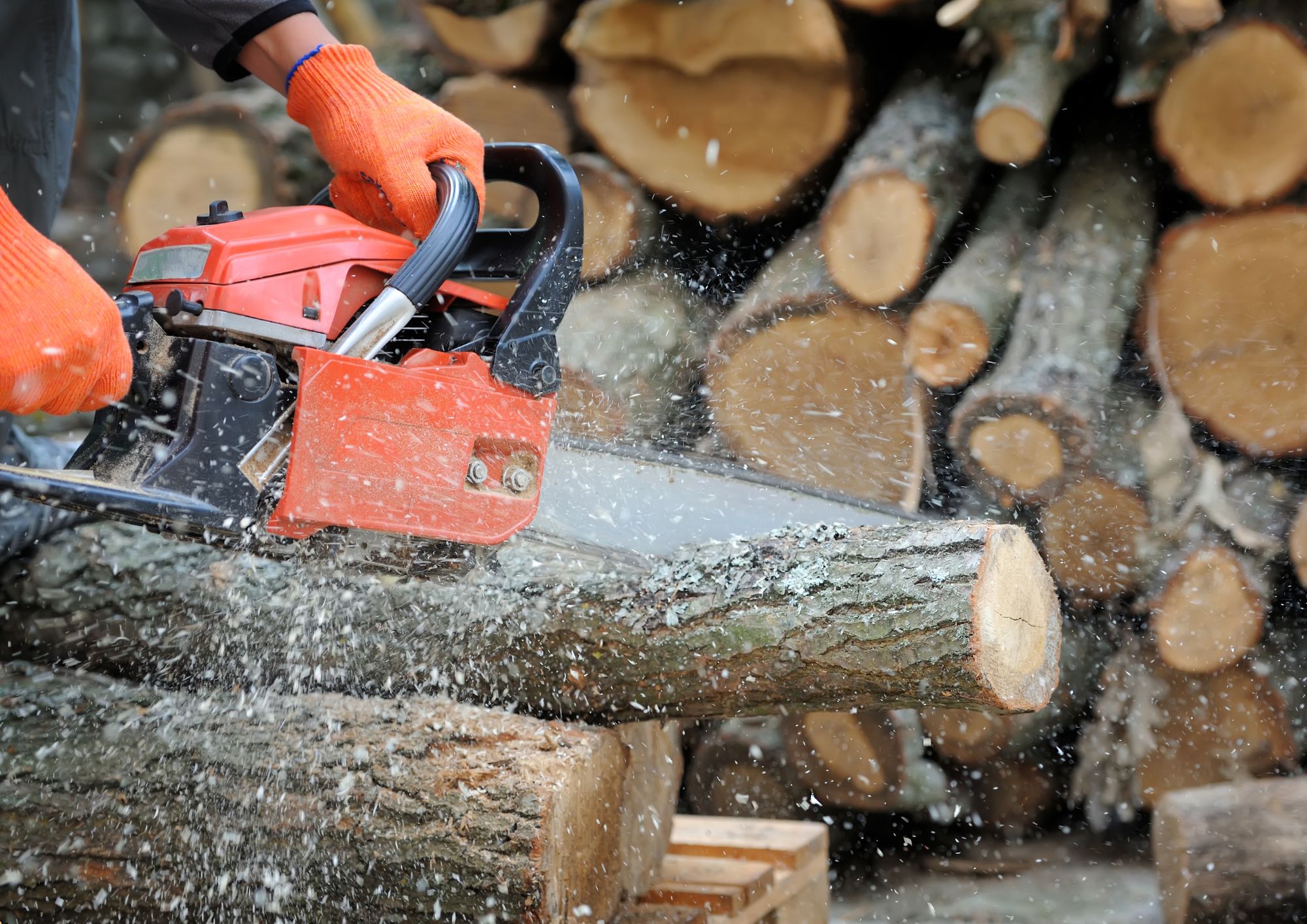 Chainsaw Safety Training