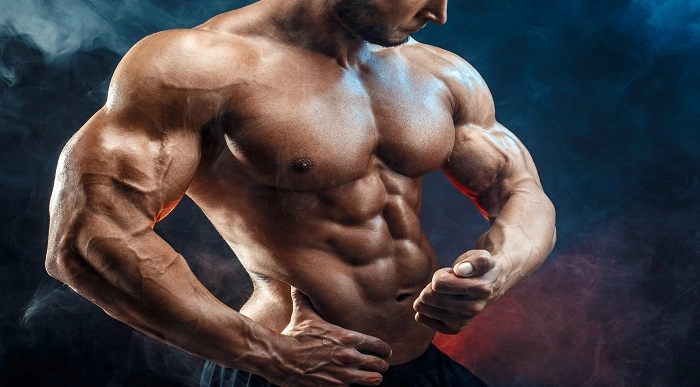 Muscle Building Secrets Course Online