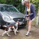 Lucy Bingley, Dog And Cat Behaviourist logo