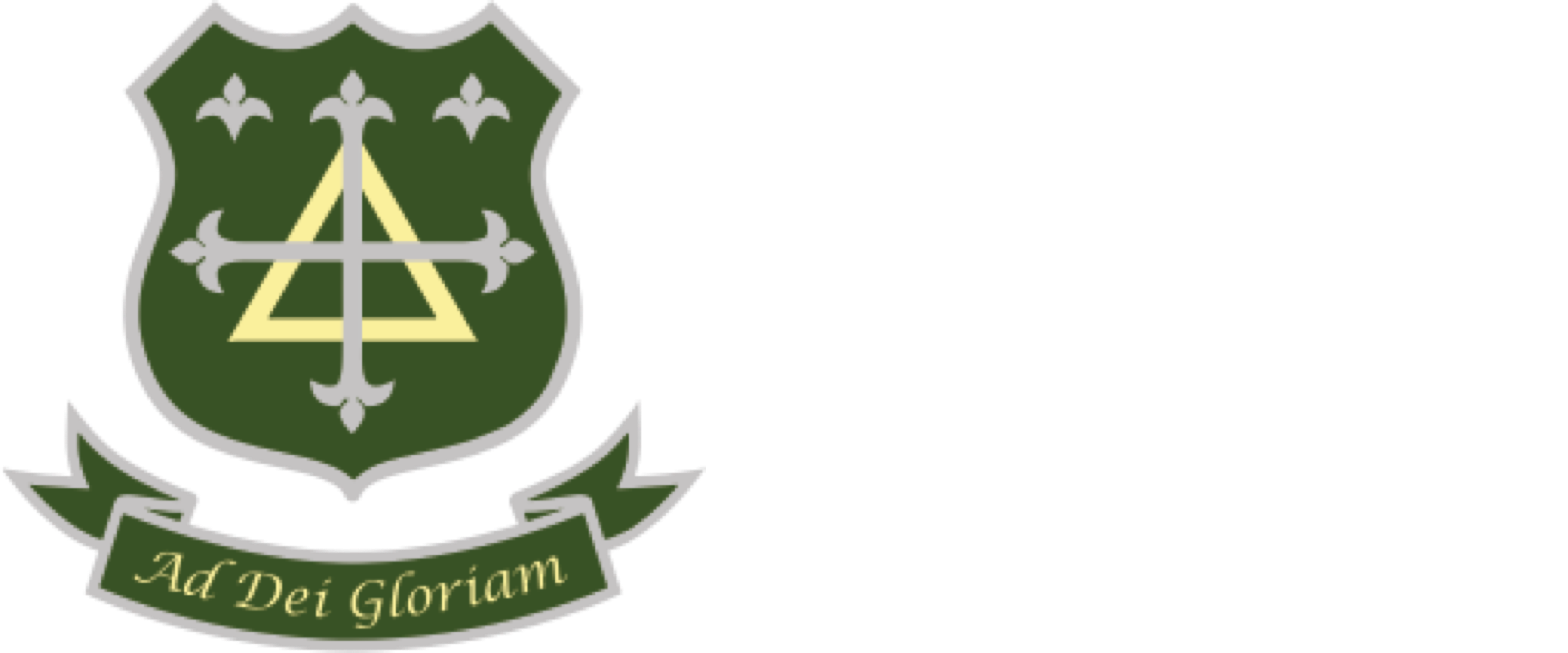 The Trinity Catholic School A Voluntary Academy logo