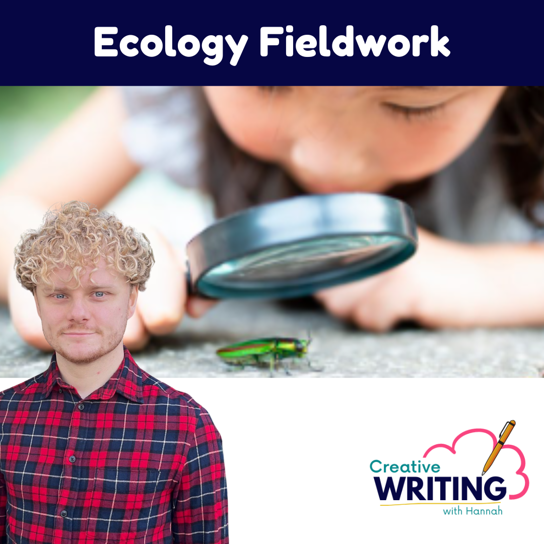 🐞 Ecology Fieldwork (7-11 year olds)