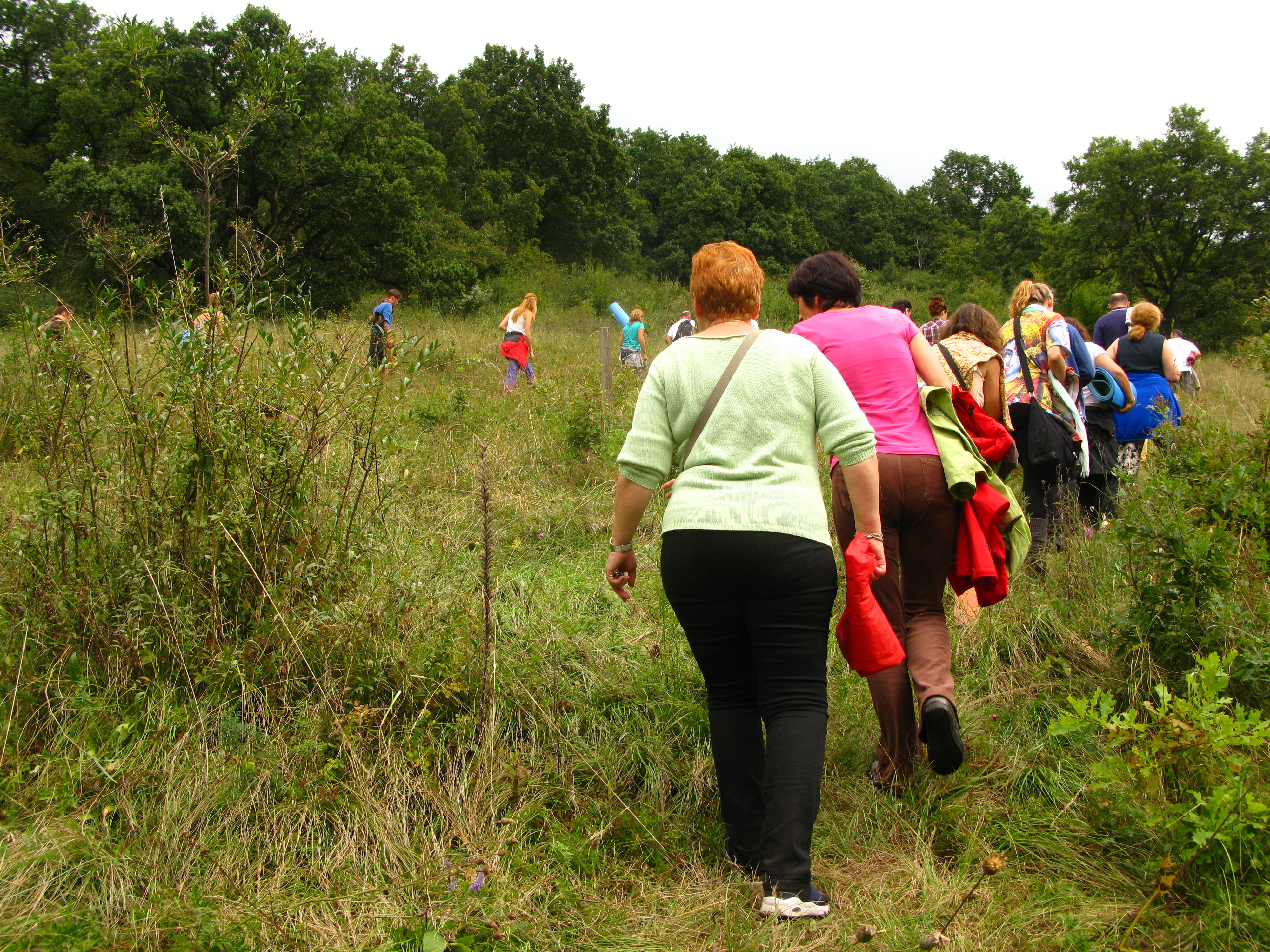 Meditative and Wild Walk