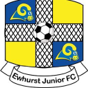 Ewhurst Jfc Home logo