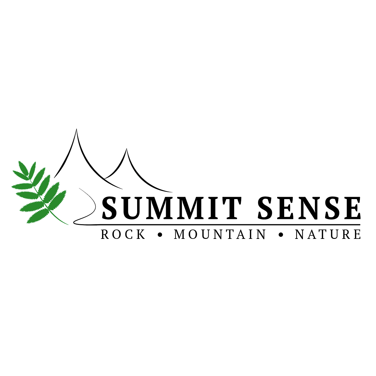 Summit Sense logo