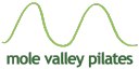 Mole Valley Studios logo