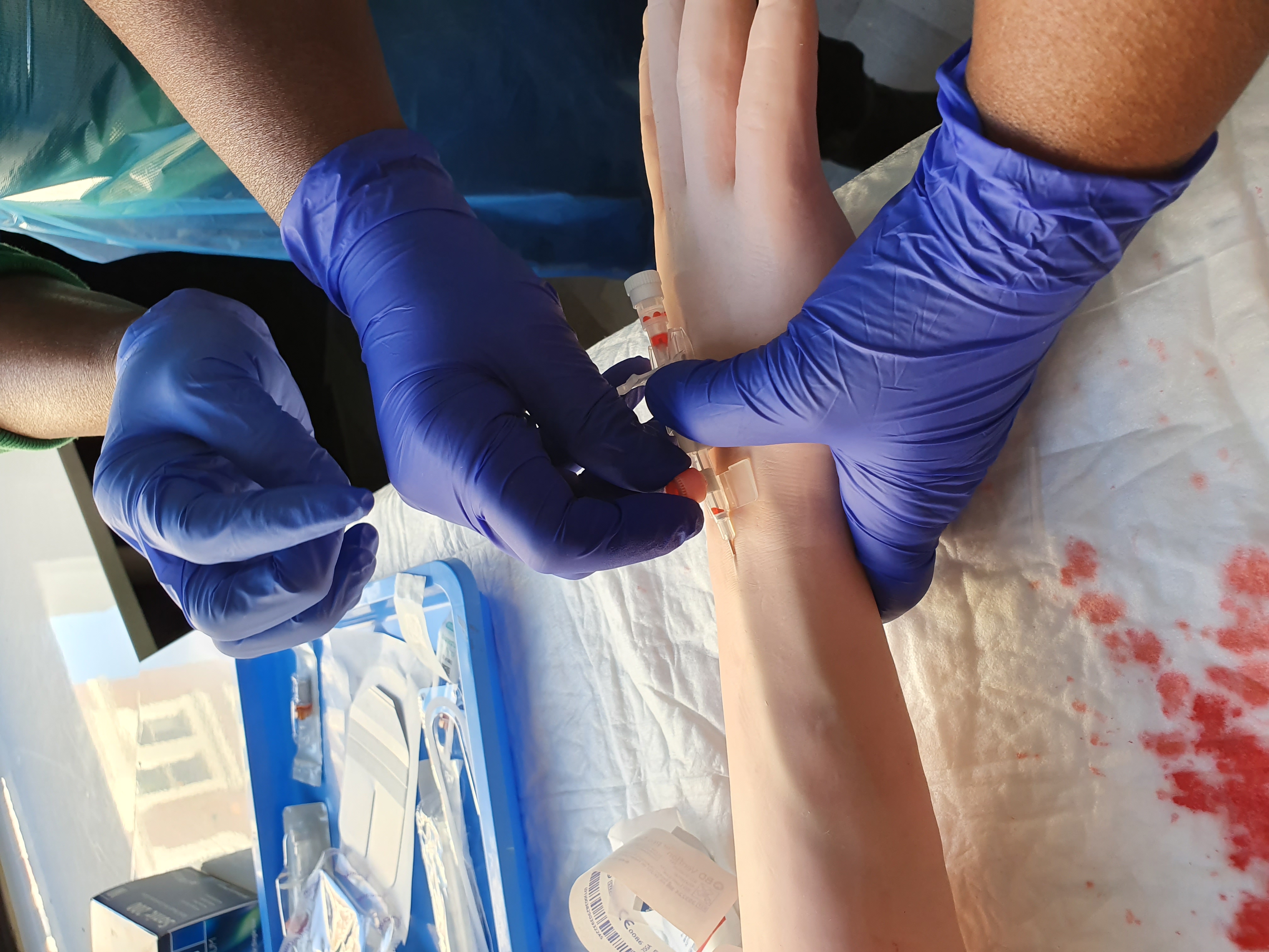 Venepuncture & Cannulation