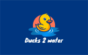 Ducks 2 Water logo