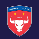 Cheadle Town Football Club logo