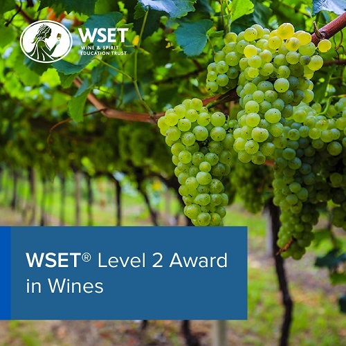 WSET Level 2 Award in Wines Classroom Course inc Exam