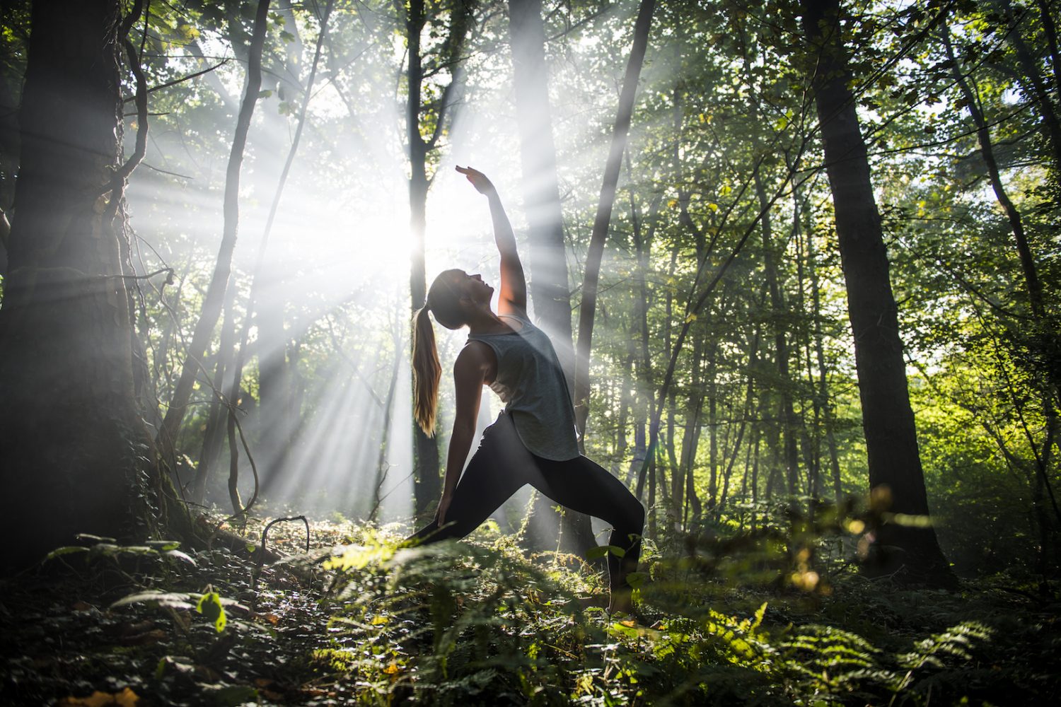 SURF, YOGA & WOODLAND CAMPING IN CORNWALL