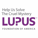 Mnena Lupus Foundation logo