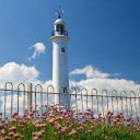 Sunderland City Metropolitan Borough Council logo