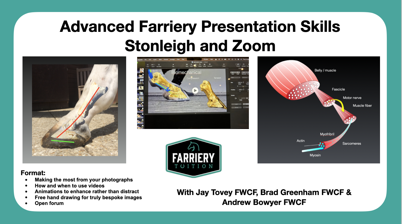 Advanced farriery presentation skills
