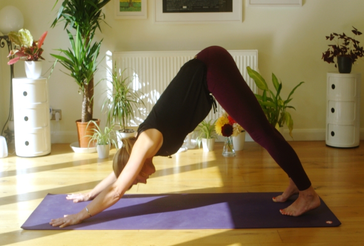 Beginners Yoga - online course