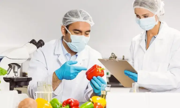 Food Safety Bundle - Food Safety, Food Allergens & HACCP Courses