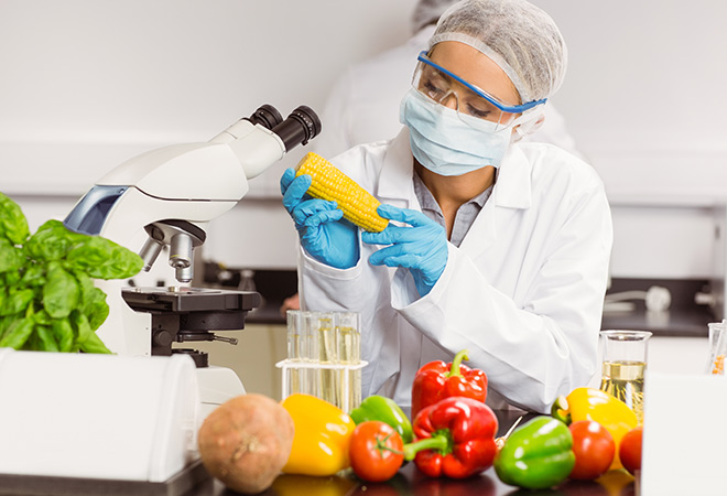 Food Safety Course: Microbes, Allergen Control & Cleaning