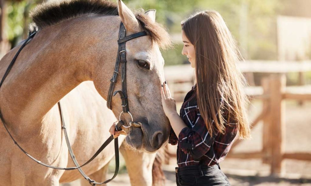 Horse Care And Stable Management