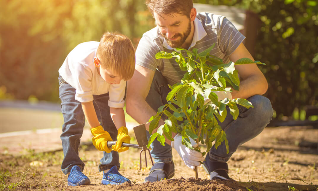 Diploma in Planting