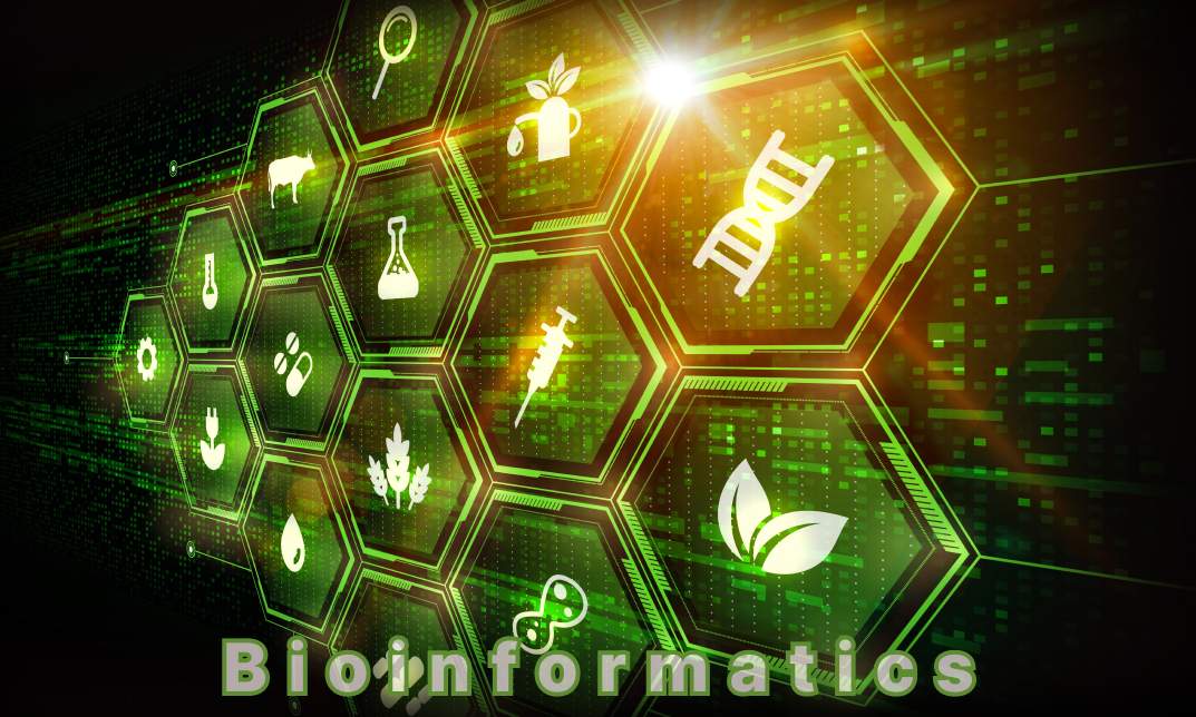 Bioinformatics