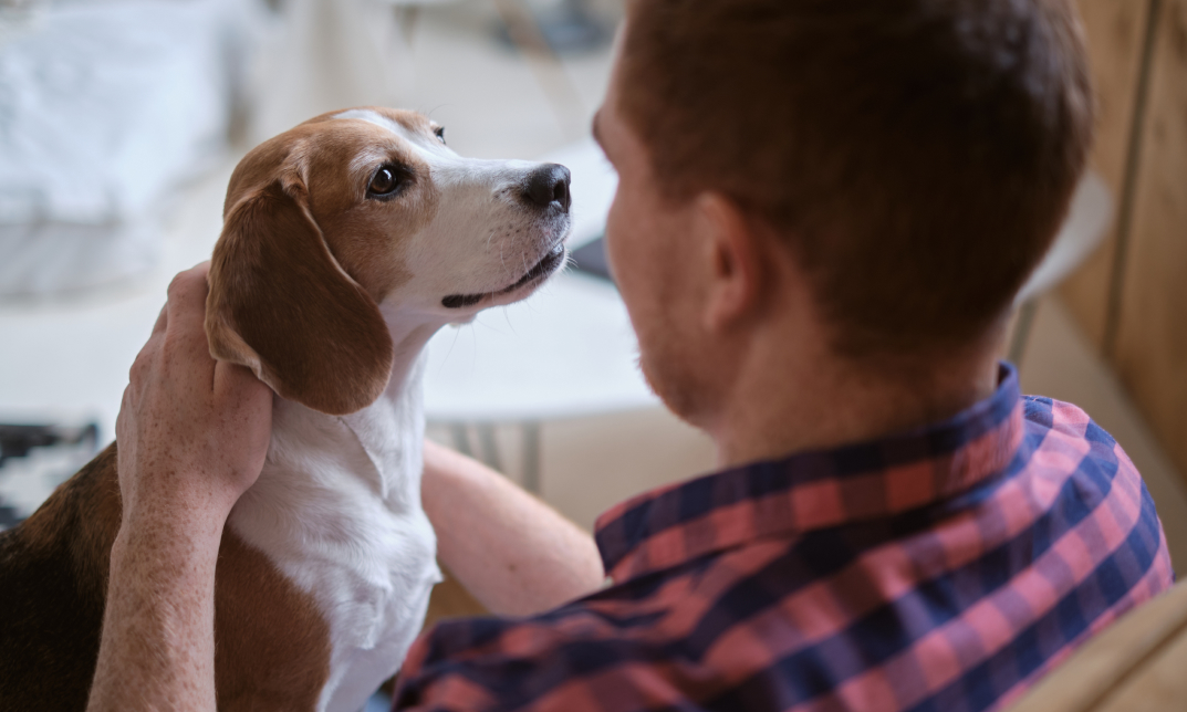 Animal Care and Psychology Diploma