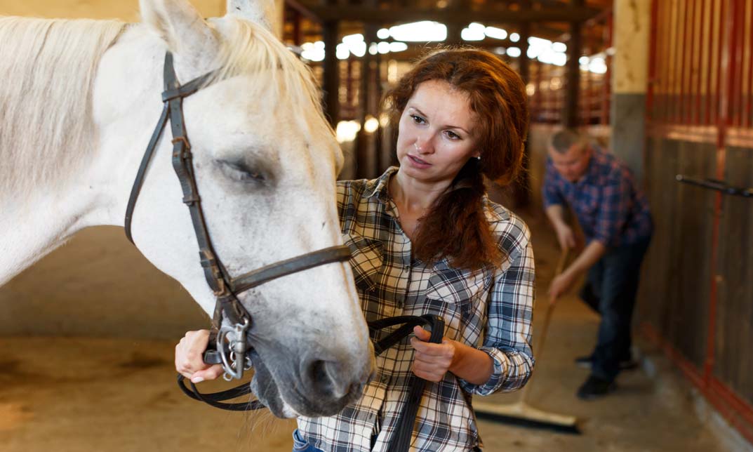 Horse and Stable Management