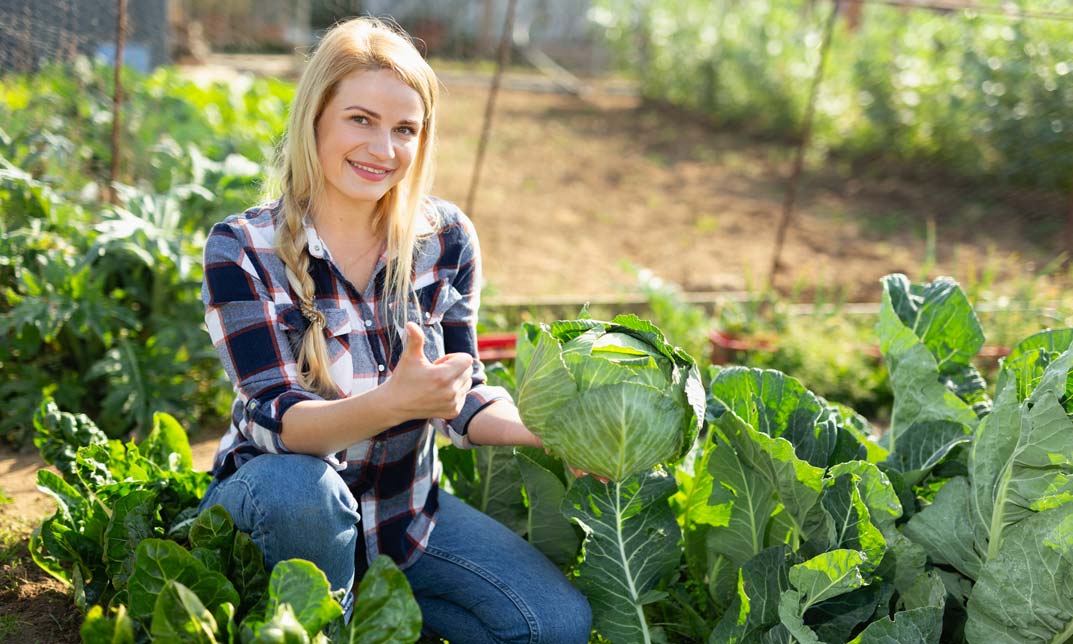 Homesteading Gardening Diploma